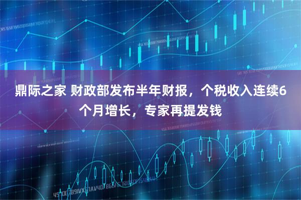鼎际之家 财政部发布半年财报,个税收入连续6个月增长,专家再提发钱