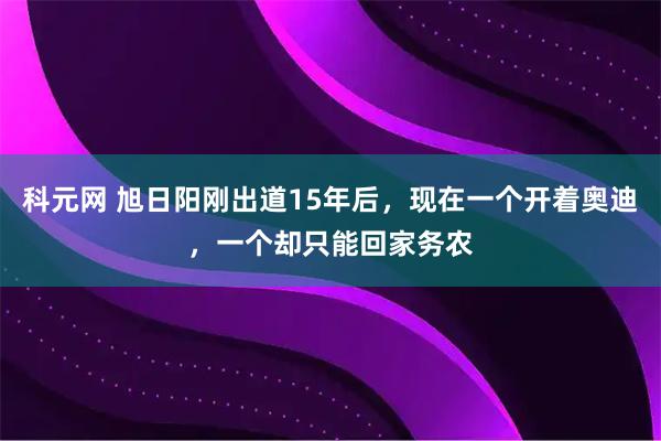 科元网 旭日阳刚出道15年后,现在一个开着奥迪,一个却只能回家务农